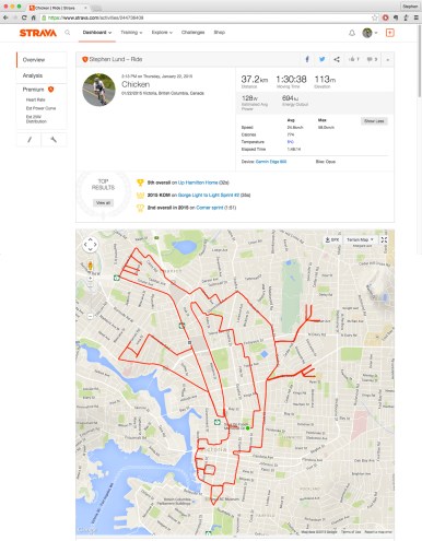 Strava art chicken garmin gps art cycling cyclist bicycle birds animals