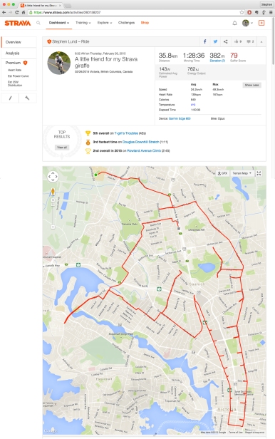 Strava elephant by Stephen Lund on the streets of Victoria BC garmin gps art cycling cyclist bicycle elephant animals