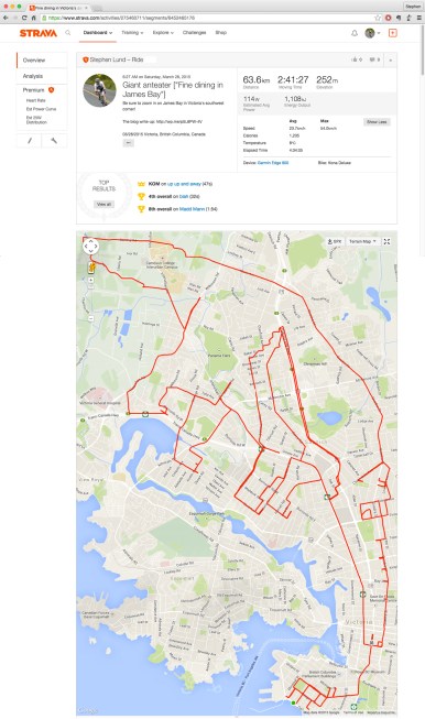 Giant anteater • Strava art by Stephen Lund on the streets of Victoria BC garmin gps art strava art cycling cyclist bicycle animals