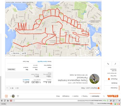 Stegosaurus tramples Fernwood neighbourhood in Victoria BC • Strava art by Strava artist Stephen Lund • Victoria BC Garmin GPS Strava art dinosaurs Stegosaurus