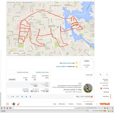 raccoon – Strava art by Stephen Lund Victoria BC garmin gps strava art cycling bicycle cyclist animals wildlife mammals Procyon lotor