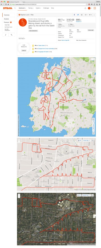 Musclebound thug plucks an alligator by the tail from the Salish Sea by GPS artist Stephen Lund in Victoria, BC, Canada GPS Garmin Strava art cyclist cycling creativity urban art street art alligator wrestling