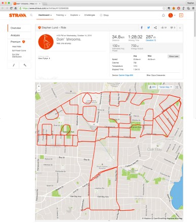 Magic mushroom by GPS artist Stephen Lund in Victoria, BC, Canada GPS Garmin Strava art cyclist cycling creativity landscape art mushroom mycelium psychedelic
