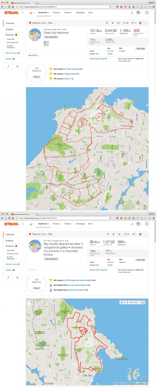 Seahorse by GPS artist Stephen Lund in Victoria, BC, Canada GPS Garmin Strava art cyclist cycling creativity animals wildlife marine life sea life Hippocampus ocean