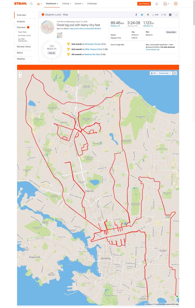 GPS owl by GPS artist Stephen Lund in Victoria, BC, Canada GPS Garmin Strava art cyclist cycling creativity urban art street art bird raptor nature wildlife
